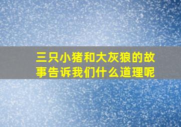 三只小猪和大灰狼的故事告诉我们什么道理呢