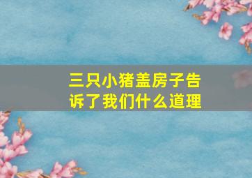 三只小猪盖房子告诉了我们什么道理