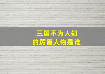 三国不为人知的厉害人物是谁