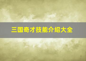 三国奇才技能介绍大全