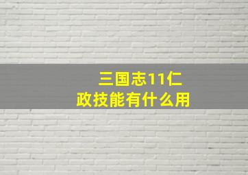 三国志11仁政技能有什么用