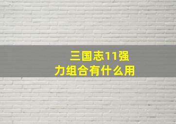 三国志11强力组合有什么用