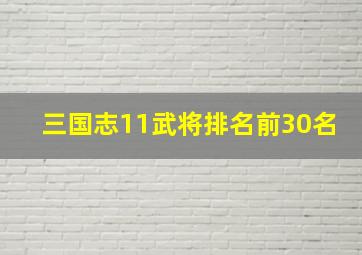 三国志11武将排名前30名