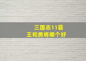 三国志11霸王和勇将哪个好