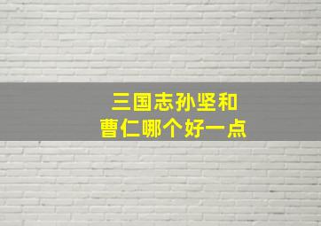 三国志孙坚和曹仁哪个好一点