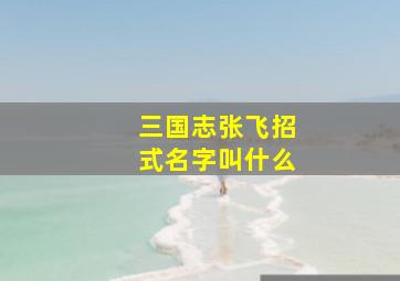 三国志张飞招式名字叫什么