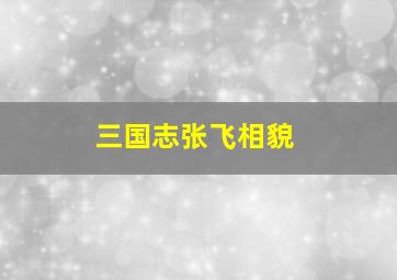 三国志张飞相貌