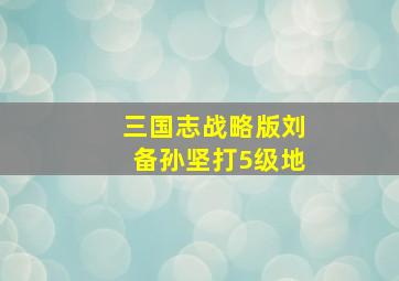 三国志战略版刘备孙坚打5级地