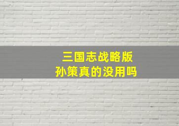 三国志战略版孙策真的没用吗