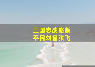 三国志战略版平民刘备张飞