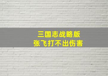 三国志战略版张飞打不出伤害