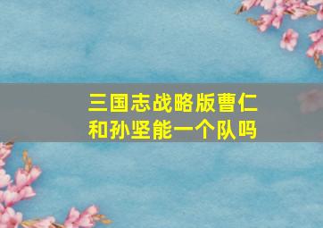 三国志战略版曹仁和孙坚能一个队吗