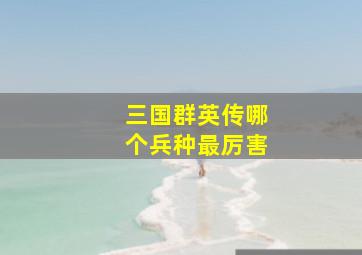 三国群英传哪个兵种最厉害