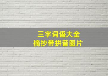 三字词语大全摘抄带拼音图片