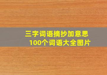 三字词语摘抄加意思100个词语大全图片