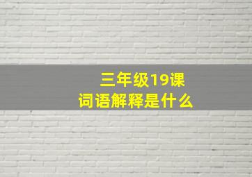 三年级19课词语解释是什么