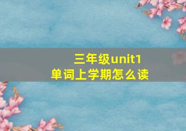 三年级unit1单词上学期怎么读