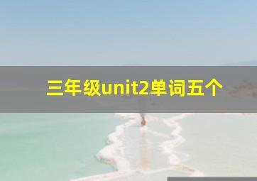 三年级unit2单词五个