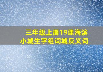 三年级上册19课海滨小城生字组词城反义词