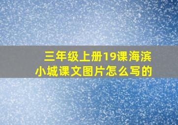 三年级上册19课海滨小城课文图片怎么写的