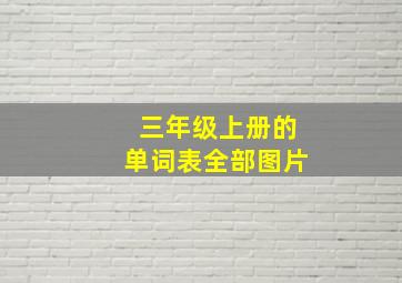 三年级上册的单词表全部图片