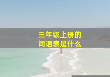 三年级上册的词语表是什么