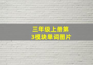 三年级上册第3模块单词图片