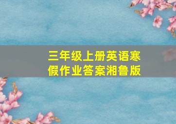 三年级上册英语寒假作业答案湘鲁版