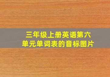 三年级上册英语第六单元单词表的音标图片