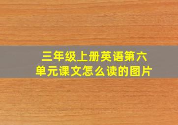 三年级上册英语第六单元课文怎么读的图片