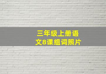 三年级上册语文8课组词照片