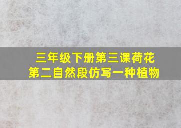 三年级下册第三课荷花第二自然段仿写一种植物