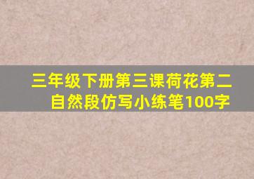 三年级下册第三课荷花第二自然段仿写小练笔100字