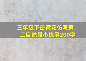 三年级下册荷花仿写第二自然段小练笔200字