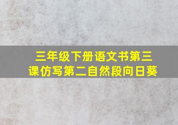 三年级下册语文书第三课仿写第二自然段向日葵