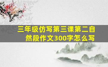 三年级仿写第三课第二自然段作文300字怎么写