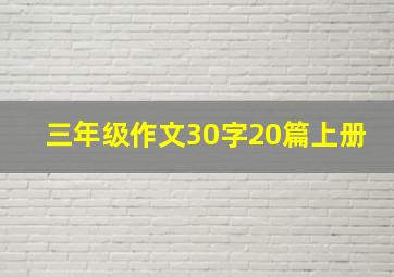 三年级作文30字20篇上册