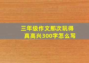 三年级作文那次玩得真高兴300字怎么写