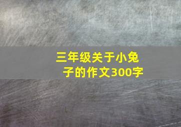 三年级关于小兔子的作文300字