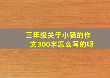 三年级关于小猫的作文300字怎么写的呀