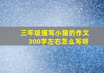 三年级描写小猫的作文300字左右怎么写呀