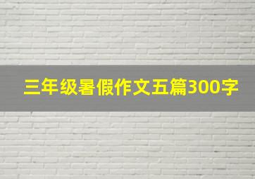 三年级暑假作文五篇300字