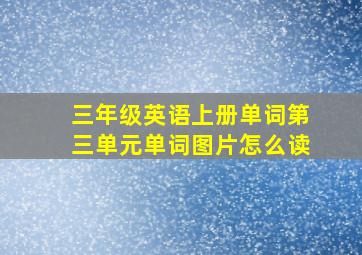 三年级英语上册单词第三单元单词图片怎么读