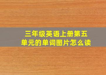 三年级英语上册第五单元的单词图片怎么读