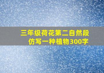 三年级荷花第二自然段仿写一种植物300字