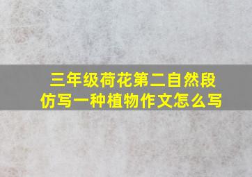 三年级荷花第二自然段仿写一种植物作文怎么写