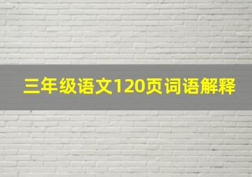 三年级语文120页词语解释