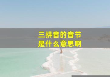 三拼音的音节是什么意思啊