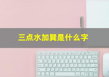 三点水加巽是什么字