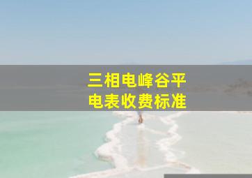 三相电峰谷平电表收费标准